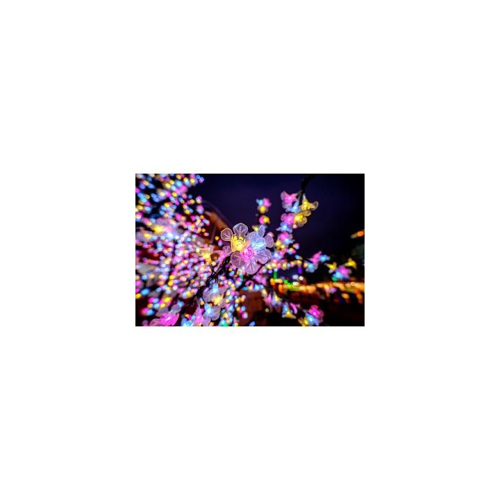 Obiektyw Venus Optics Laowa C&D-Dreamer 9 mm f/2,8 Zero-D do DJI DL