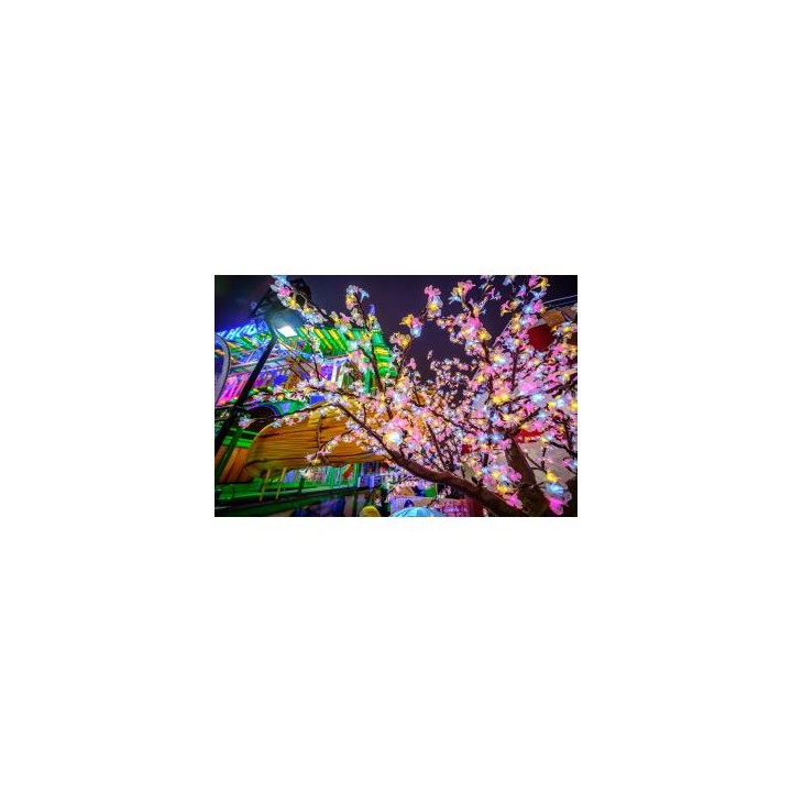 Obiektyw Venus Optics Laowa C&D-Dreamer 9 mm f/2,8 Zero-D do DJI DL