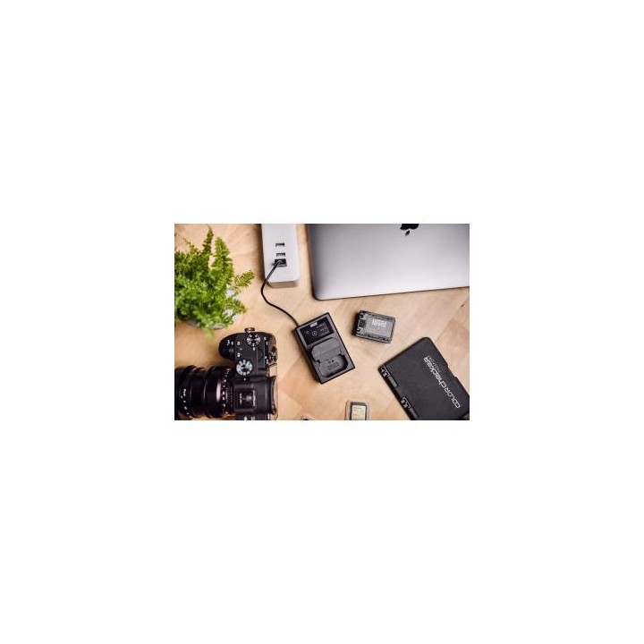 Ładowarka dwukanałowa Newell FDL-USB-C do akumulatorów LP-E6 do Canon