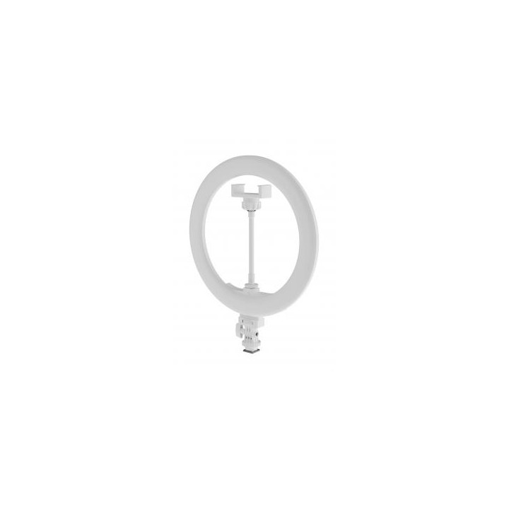 Lampa pierścieniowa LED Newell RL-10A Arctic White + statyw