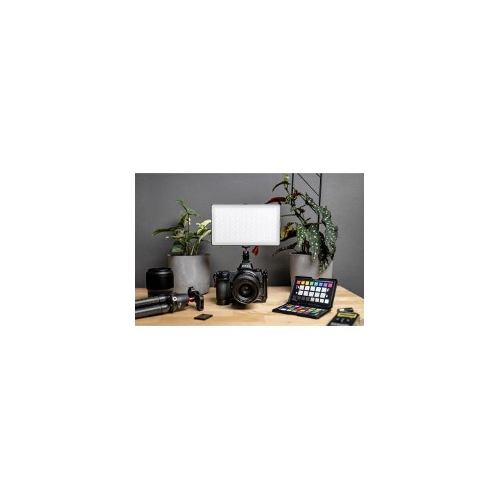 Lampa LED Newell RGB-W Rangha Max
