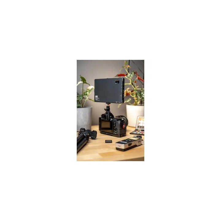 Lampa LED Newell RGB-W Rangha Max