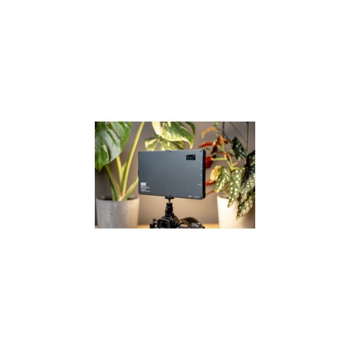 Lampa LED Newell RGB-W Rangha Max