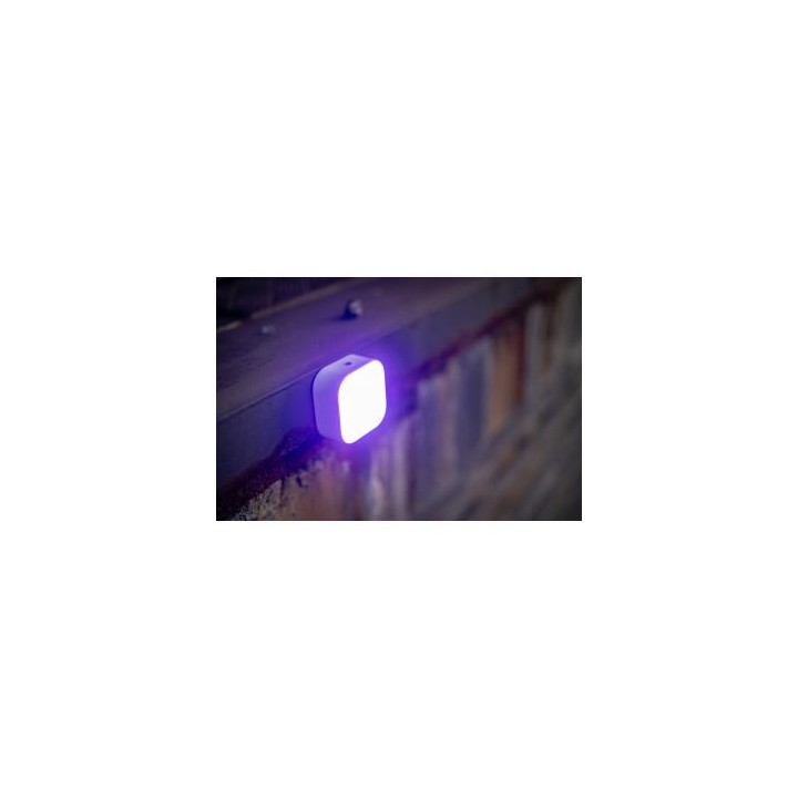Lampa LED Newell RGB Cutie Pie - biała