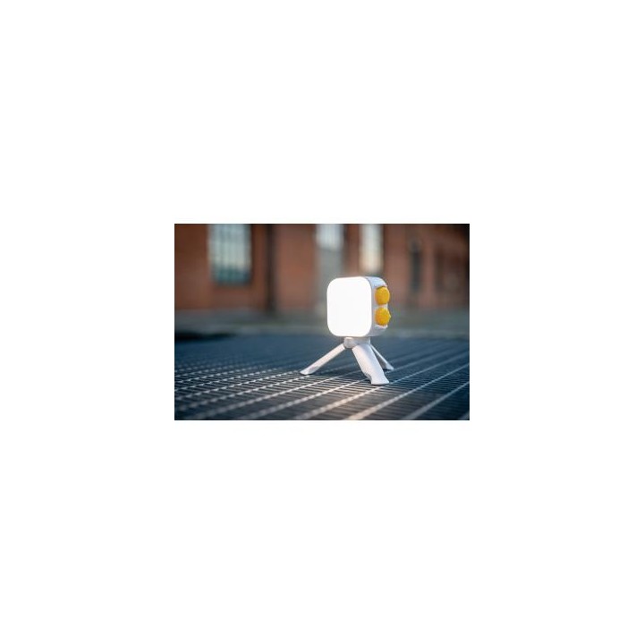 Lampa LED Newell RGB Cutie Pie - biała