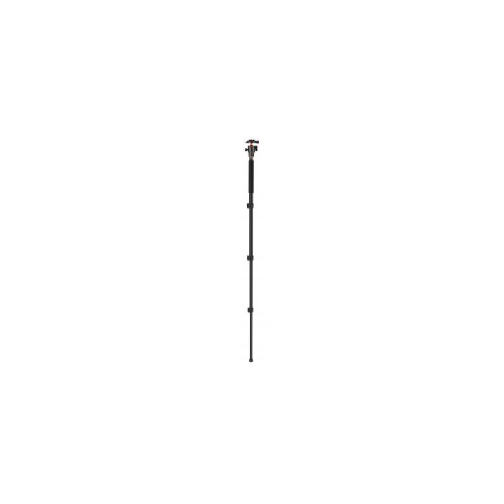 Statyw K&F Concept K234A7 z głowicą kulową BH-28L