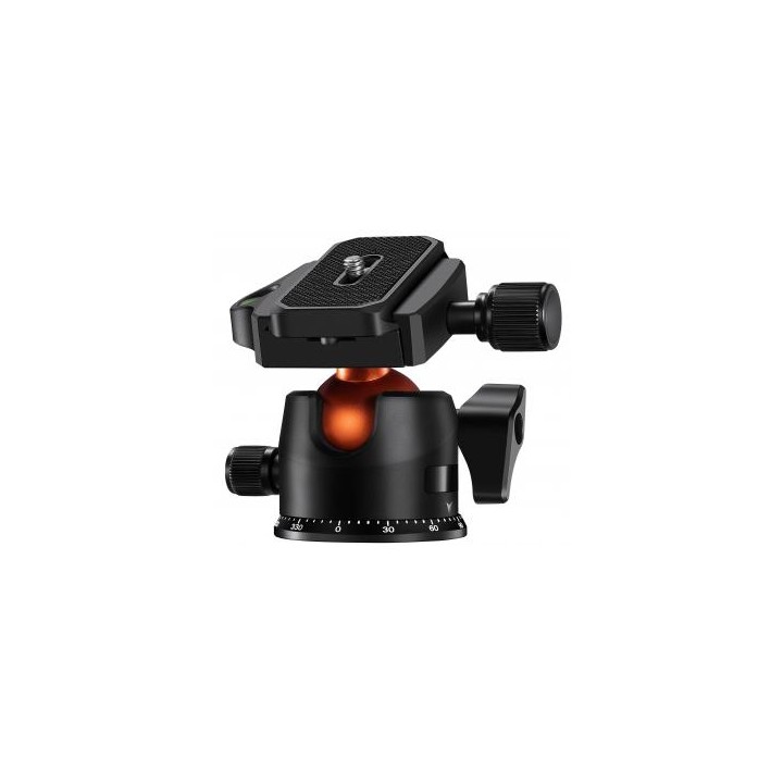 Statyw K&F Concept K-series K254C2 z głowicą kulową