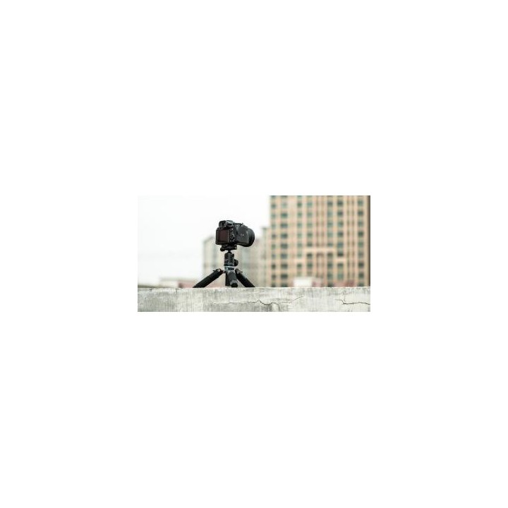 Statyw Fotopro M-5 mini 2 z głowicą kulową FPH-53P