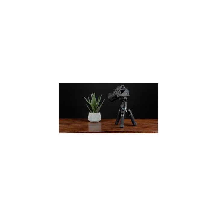 Statyw Fotopro M-5 mini 2 z głowicą kulową FPH-53P