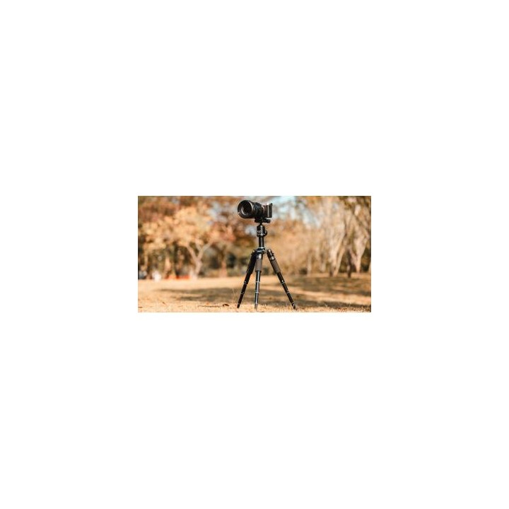 Statyw Fotopro M-5 mini 2 z głowicą kulową FPH-53P