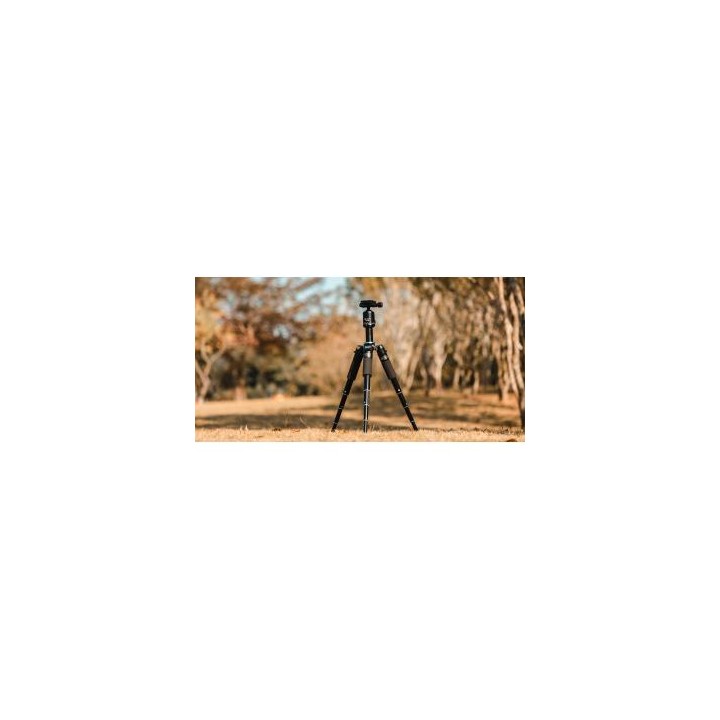 Statyw Fotopro M-5 mini 2 z głowicą kulową FPH-53P