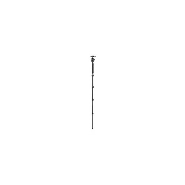 Statyw Fotopro X-go Gecko E2 z głowicą kulową FPH-42QP