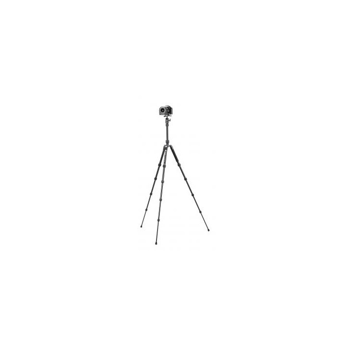 Statyw Fotopro X-go Gecko E2 z głowicą kulową FPH-42QP