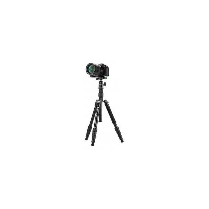 Statyw Fotopro X-go Gecko E2 z głowicą kulową FPH-42QP