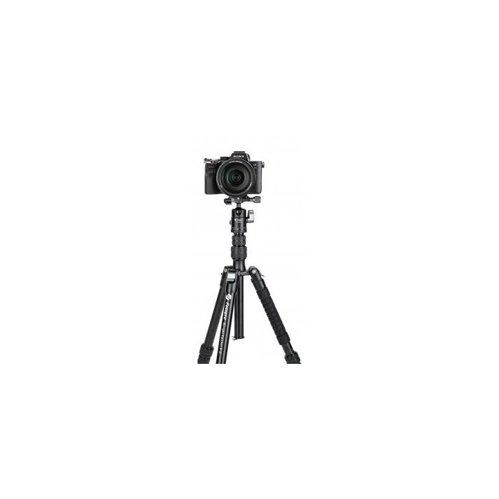 Statyw Fotopro X-go Gecko E2 z głowicą kulową FPH-42QP