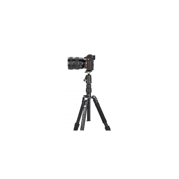 Statyw Fotopro X-go Gecko E2 z głowicą kulową FPH-42QP