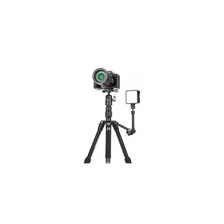 Statyw Fotopro X-go Gecko E2 z głowicą kulową FPH-42QP