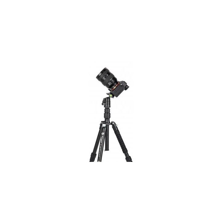 Statyw Fotopro X-go Gecko E2 z głowicą kulową FPH-42QP
