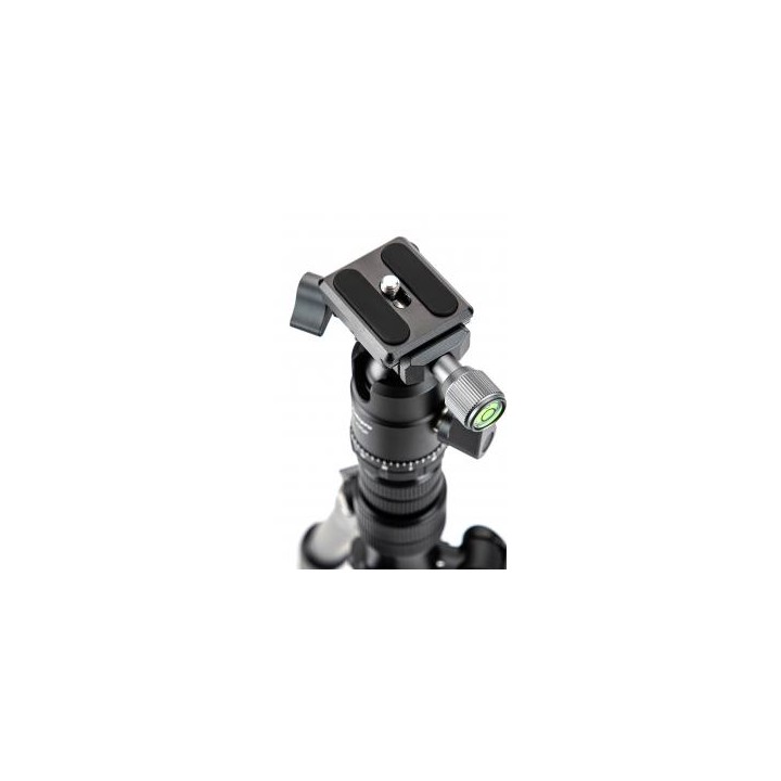 Statyw Fotopro X-go Gecko E2 z głowicą kulową FPH-42QP