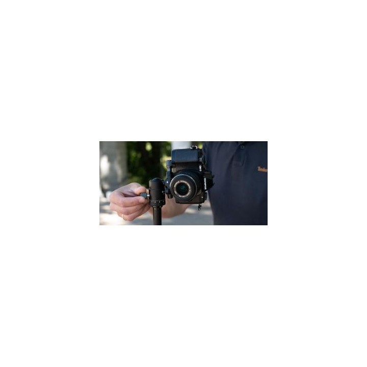 Statyw Fotopro X-go Gecko E2 z głowicą kulową FPH-42QP