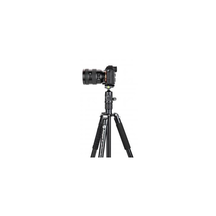 Statyw Fotopro X-go Chameleon E2 z głowicą kulową FPH-52QP