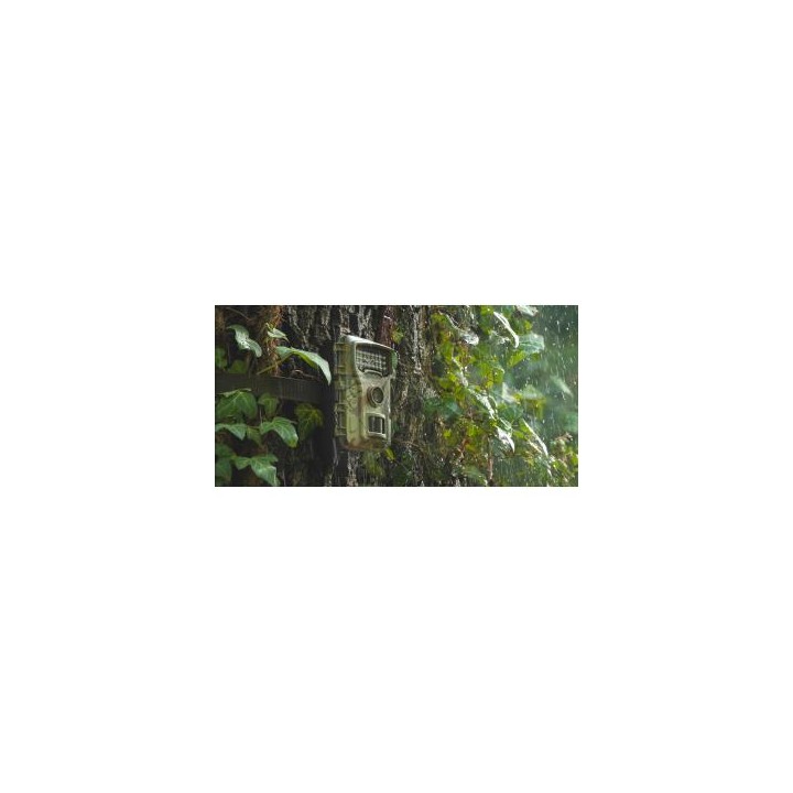Kamera obserwacyjna Redleaf RF06
