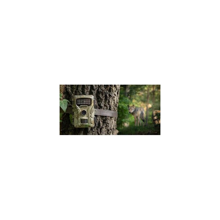 Kamera obserwacyjna Redleaf RF06