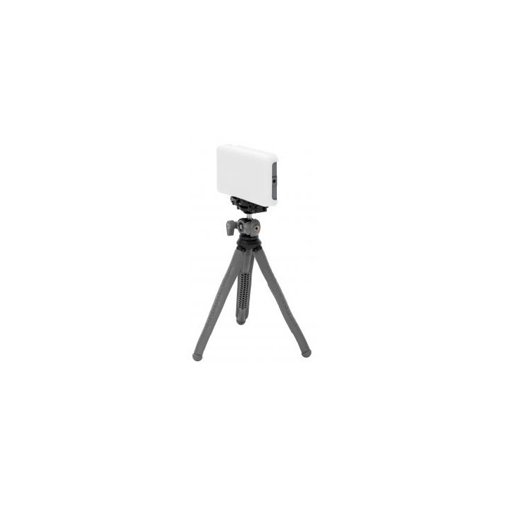 Zestaw Newell Rangha Set - Lampa LED RGB-W Rangha z dyfuzorem i statywem