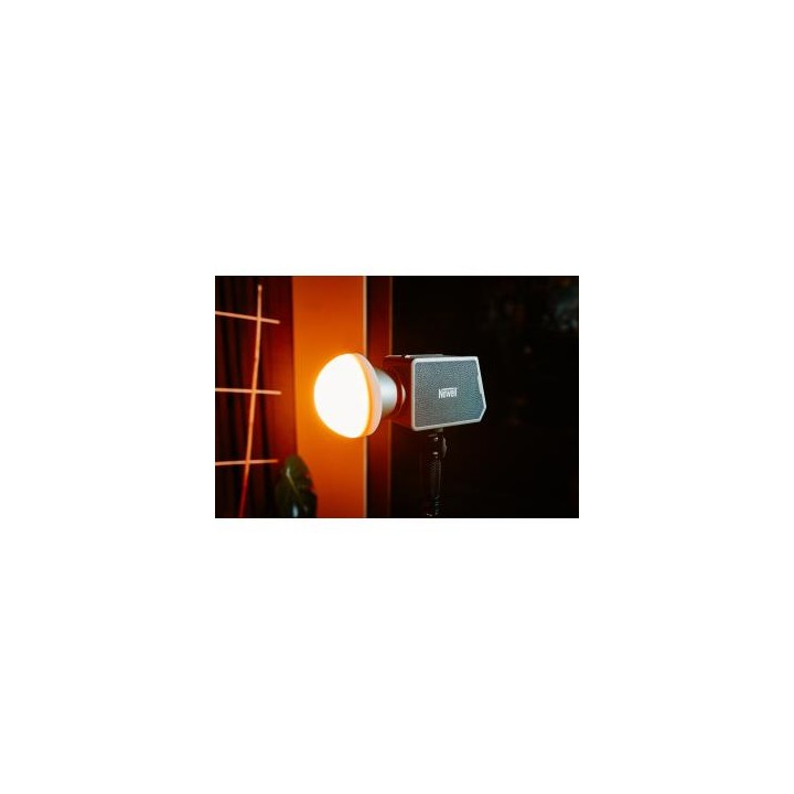 Lampa LED Newell Zora 90 WB (2700 - 6500 K)