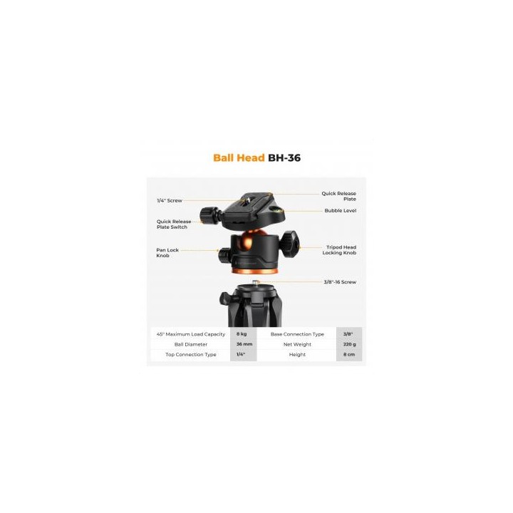 Statyw K&F Concept S255A3 z głowicą kulową BH-36 i uchwytem na telefon