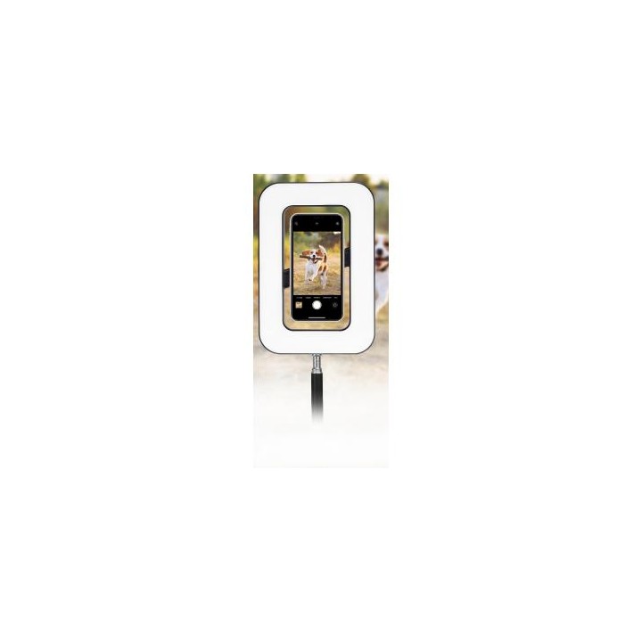 Lampa LED Newell Freya