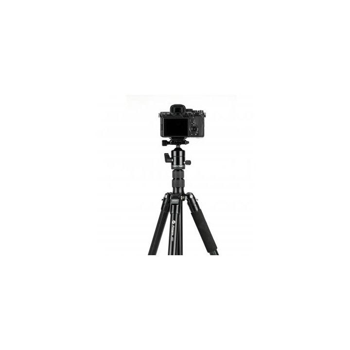 Statyw Fotopro A5i z głowicą kulową FPH-55QS