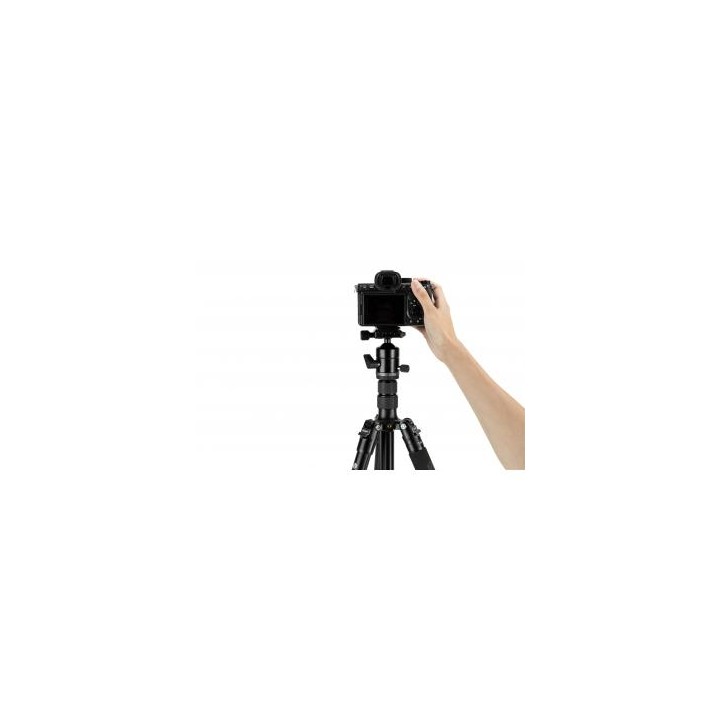 Statyw Fotopro A5i z głowicą kulową FPH-55QS
