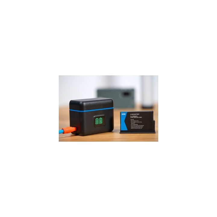 Ładowarka dwukanałowa Newell STD-USB do akumulatorów CINSBAHA do Insta360 X5
